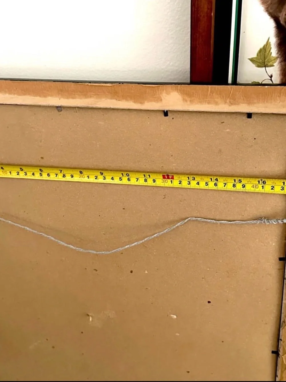 N/A mexican snake